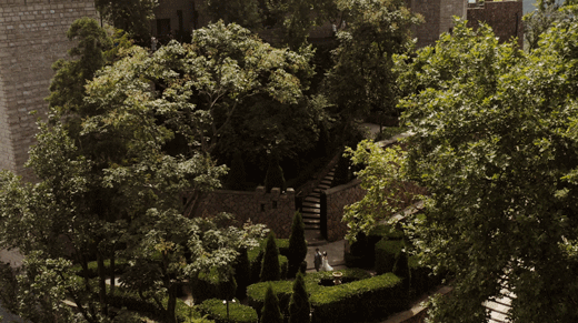 Tommy ＆  Ran July.18.2021