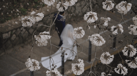 Wang＆ Chen Mar.19.2022